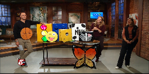 Halloween “Boxtumes” — Mankato Business news