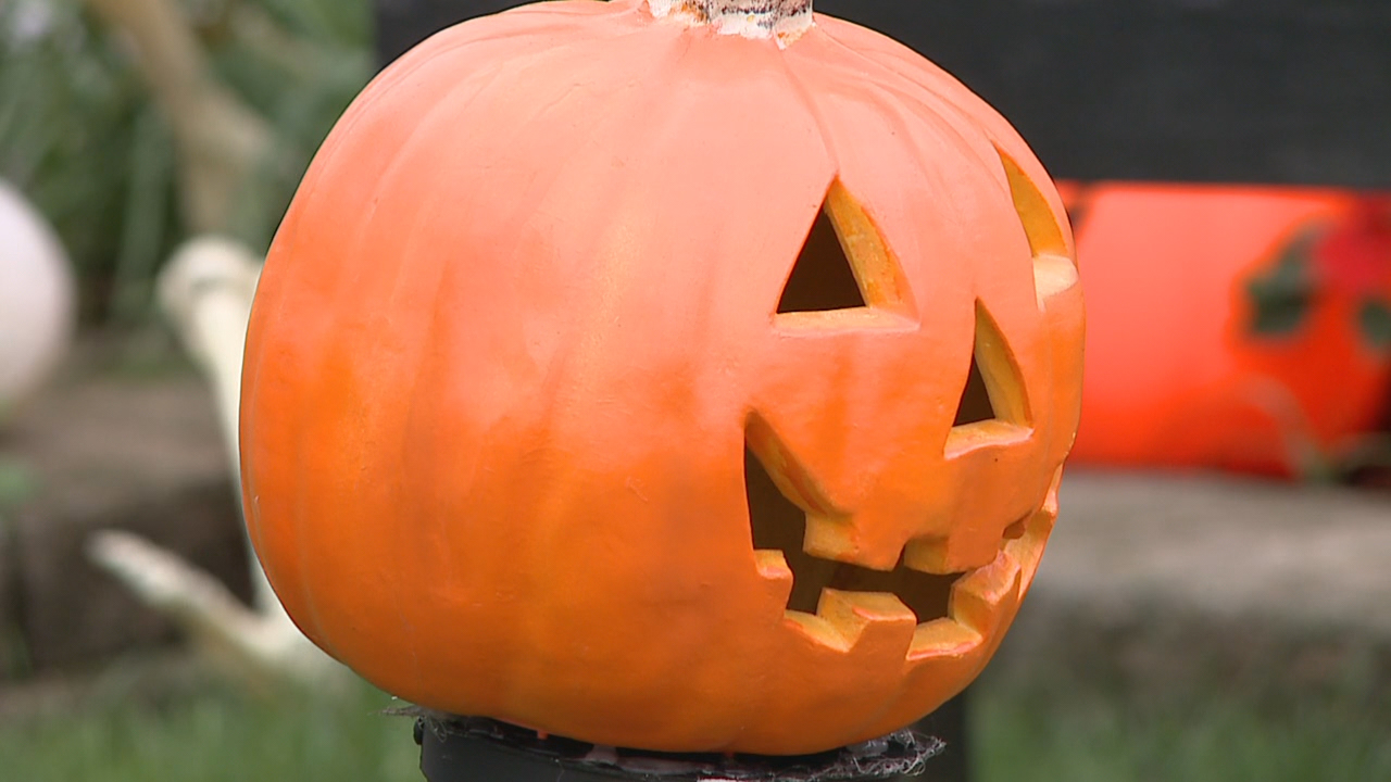 Things to do in Minnesota: 5 things to do this weekend (Oct. 30–Nov. 1) — Mankato Community news